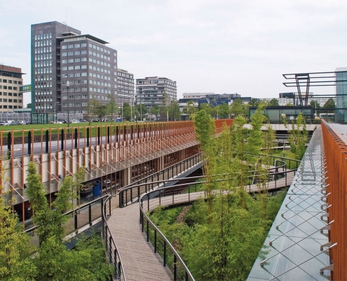 Neco special projects: Shell bamboetuin (Rotterdam)